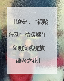 镇安：“银龄行动”情暖端午 文明实践绽放敬老之花