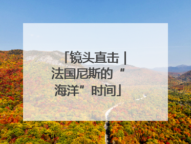镜头直击｜法国尼斯的“海洋”时间