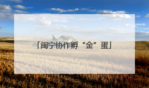 闽宁协作孵“金”蛋