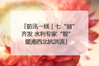 防汛一线｜七“剑”齐发 水利专家“智”援湘西北抗洪流