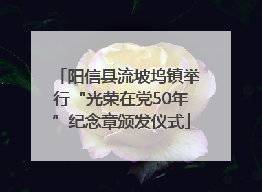 阳信县流坡坞镇举行“光荣在党50年”纪念章颁发仪式