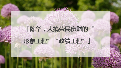 陈华，大搞劳民伤财的“形象工程”“政绩工程”