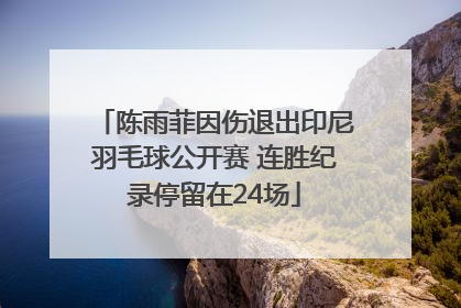 陈雨菲因伤退出印尼羽毛球公开赛 连胜纪录停留在24场