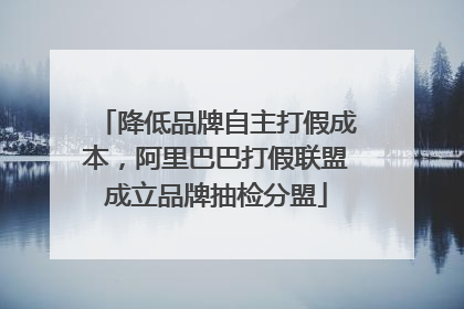 降低品牌自主打假成本，阿里巴巴打假联盟成立品牌抽检分盟
