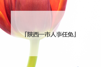 陕西一市人事任免