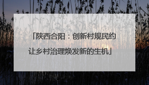 陕西合阳：创新村规民约让乡村治理焕发新的生机