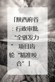 陕西府谷：行政审批“全链发力” 项目齿轮“精准咬合”