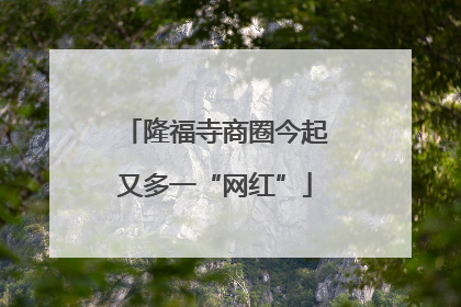 隆福寺商圈今起又多一“网红”