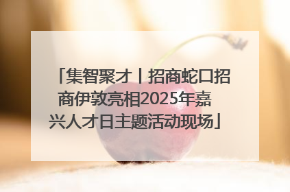 集智聚才丨招商蛇口招商伊敦亮相2025年嘉兴人才日主题活动现场