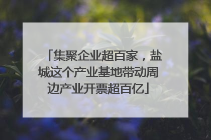 集聚企业超百家，盐城这个产业基地带动周边产业开票超百亿