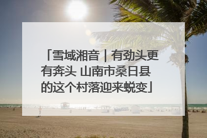 雪域湘音｜有劲头更有奔头 山南市桑日县的这个村落迎来蜕变