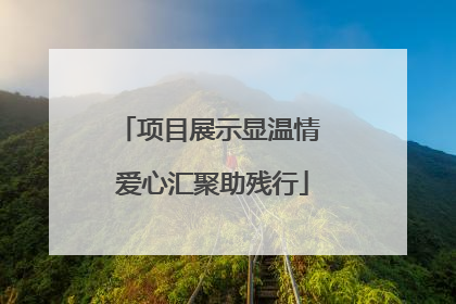 项目展示显温情 爱心汇聚助残行