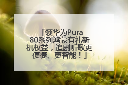 领华为Pura 80系列鸿蒙有礼新机权益，追剧听歌更便捷、更智能！