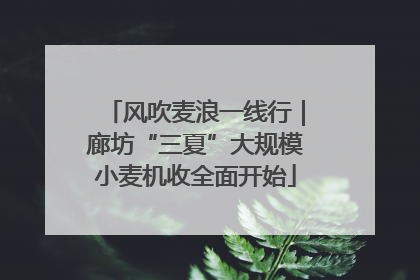 风吹麦浪一线行｜廊坊“三夏”大规模小麦机收全面开始