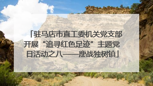 驻马店市直工委机关党支部开展“追寻红色足迹”主题党日活动之八——鏖战独树镇