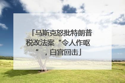 马斯克怒批特朗普税改法案“令人作呕”，白宫回击