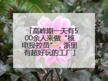 高峰期一天有500余人来做“核电操控员”，浙里有超好玩的工厂