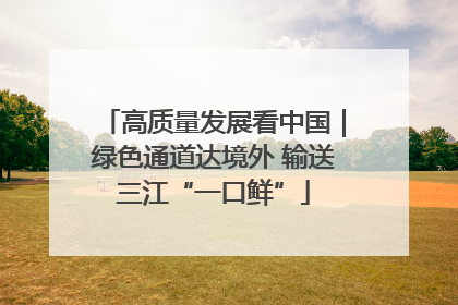 高质量发展看中国｜绿色通道达境外 输送三江“一口鲜”