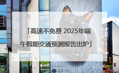 高速不免费 2025年端午假期交通预测报告出炉