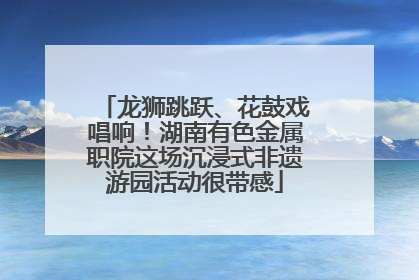 龙狮跳跃、花鼓戏唱响！湖南有色金属职院这场沉浸式非遗游园活动很带感