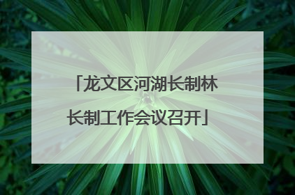 龙文区河湖长制林长制工作会议召开