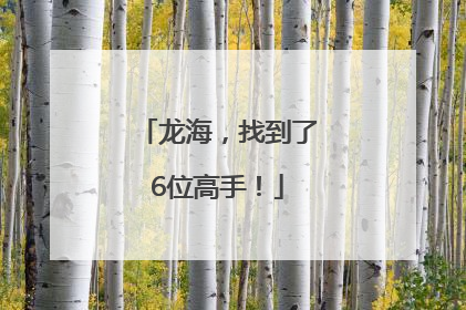 龙海，找到了6位高手！