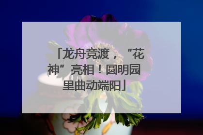 龙舟竞渡，“花神”亮相！圆明园里曲动端阳