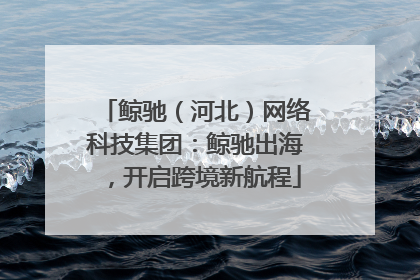 鲸驰（河北）网络科技集团：鲸驰出海，开启跨境新航程