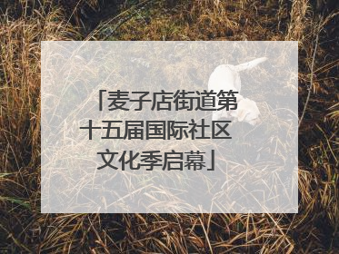 麦子店街道第十五届国际社区文化季启幕