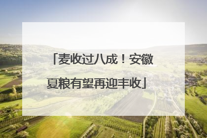 麦收过八成！安徽夏粮有望再迎丰收