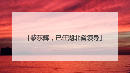 黎东辉，已任湖北省领导