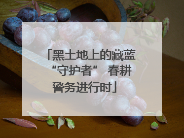 黑土地上的藏蓝“守护者” 春耕警务进行时