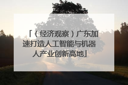 （经济观察）广东加速打造人工智能与机器人产业创新高地