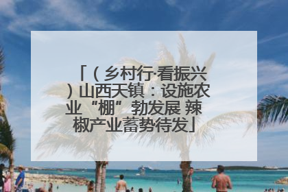 （乡村行·看振兴）山西天镇：设施农业“棚”勃发展 辣椒产业蓄势待发