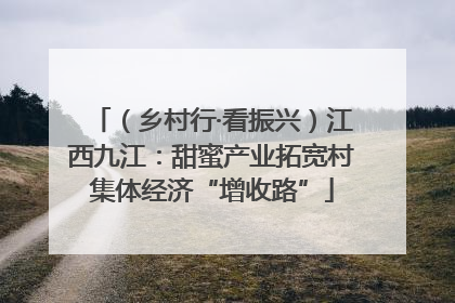 （乡村行·看振兴）江西九江：甜蜜产业拓宽村集体经济“增收路”
