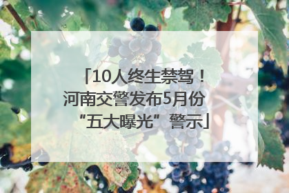 10人终生禁驾！河南交警发布5月份“五大曝光”警示