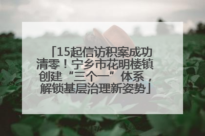 15起信访积案成功清零！宁乡市花明楼镇创建“三个一”体系，解锁基层治理新姿势