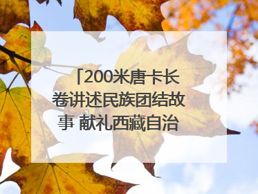 200米唐卡长卷讲述民族团结故事 献礼西藏自治区成立60周年