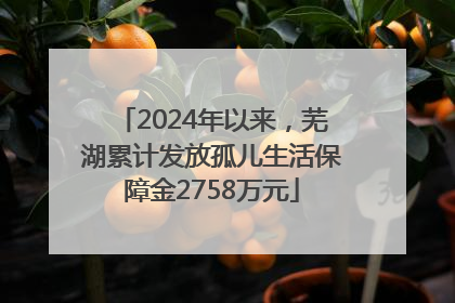 2024年以来，芜湖累计发放孤儿生活保障金2758万元
