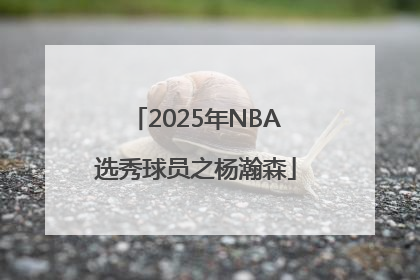 2025年NBA选秀球员之杨瀚森