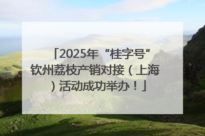 2025年“桂字号”钦州荔枝产销对接（上海）活动成功举办！