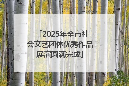 2025年全市社会文艺团体优秀作品展演圆满完成