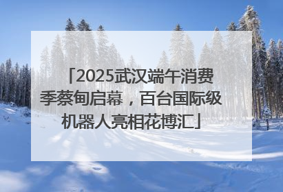 2025武汉端午消费季蔡甸启幕，百台国际级机器人亮相花博汇