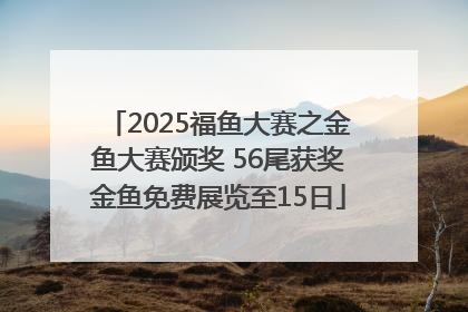 2025福鱼大赛之金鱼大赛颁奖 56尾获奖金鱼免费展览至15日