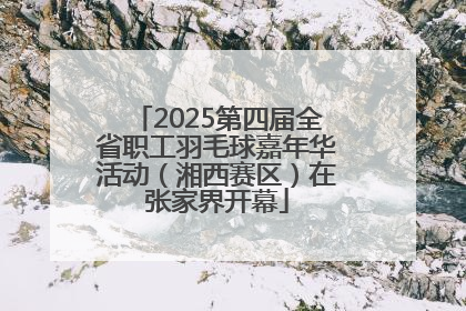 2025第四届全省职工羽毛球嘉年华活动（湘西赛区）在张家界开幕
