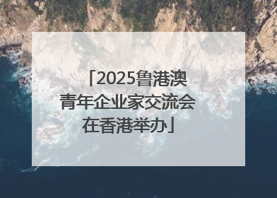 2025鲁港澳青年企业家交流会在香港举办