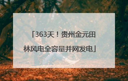 363天！贵州金元田林风电全容量并网发电