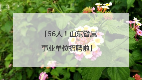 56人！山东省属事业单位招聘啦