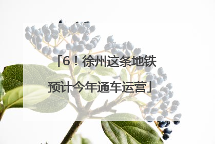 6！徐州这条地铁预计今年通车运营