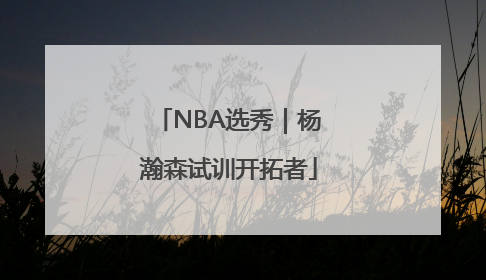 NBA选秀｜杨瀚森试训开拓者